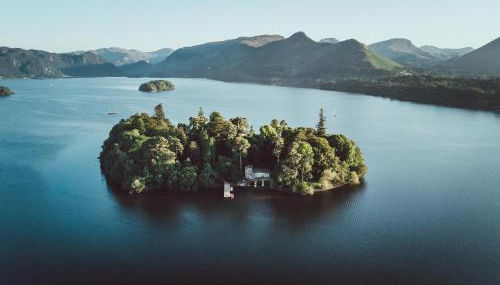 The Little Fish - Foto 2