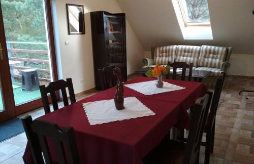 Koci Grzbiet Agroturystyka - Foto 24