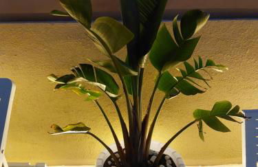 Casa Angelina - Photo 35