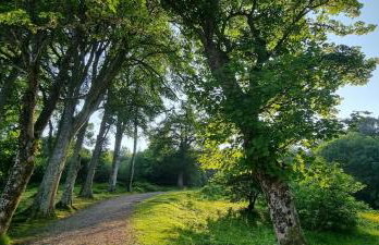 8B Calbost - Foto 42