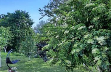 Gospic Riverside Apartment - Photo 21