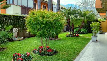 Maresole tra l'Etna e Taormina - Photo 1, Garden