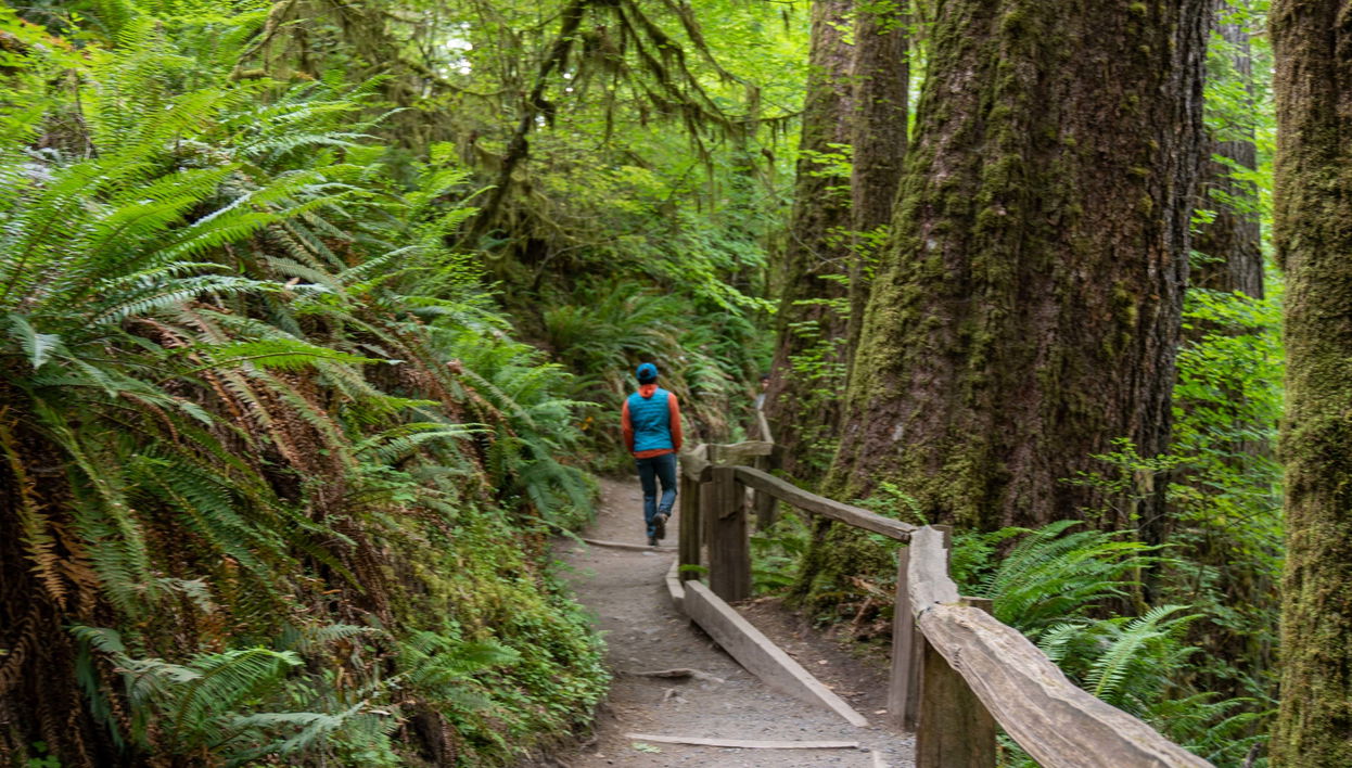 Olympic National Park Tour - Foto 1