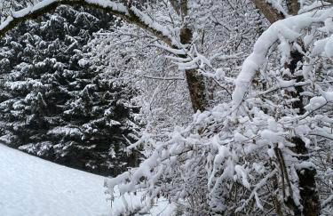 Chalet la Cabane d'Ernestine, petit-déjeuner inclus - Foto 47