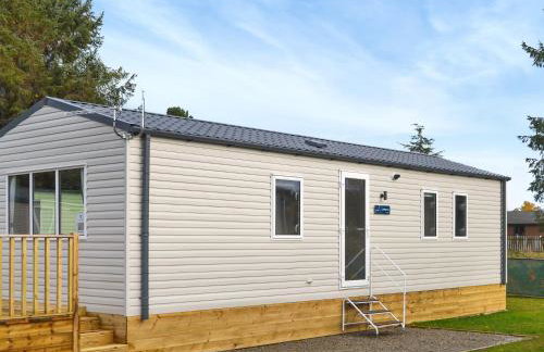 The Falcon - Uk45538 - Foto 1