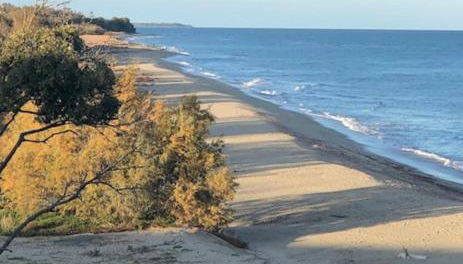 Appart. en Corse t3 bord de mer et piscine. N 143 - Foto 2