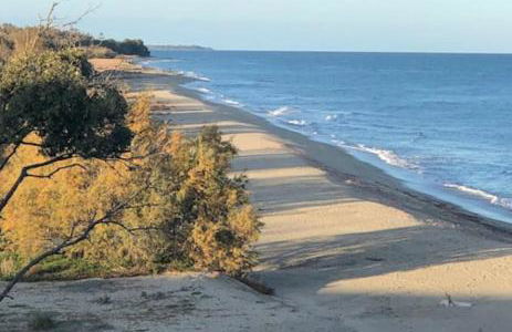 Appart. en Corse t3 bord de mer et piscine. N 143 - Foto 2