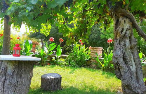 Dimitriou Rooms - Foto 11