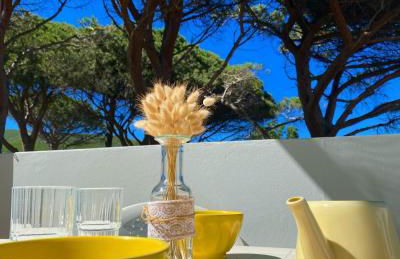 Domaine U Pozzu - Foto 22