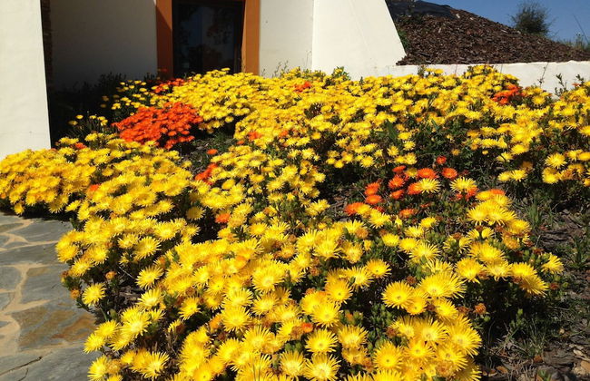 Tons da Terra - Foto 80