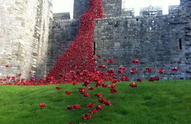 Betty’s Hideaway - Photo 38