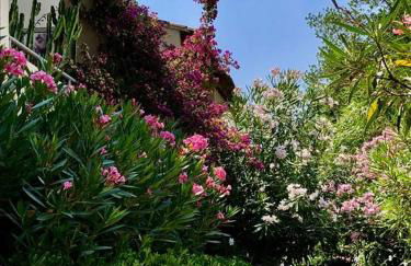 RAMATUELLE SAINT TROPEZ, en front de mer - Foto 15