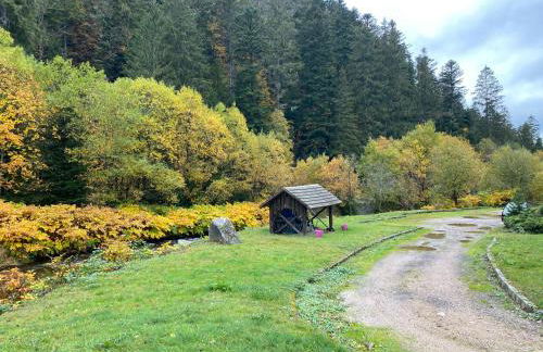 Le cosy de la vologne - Foto 10