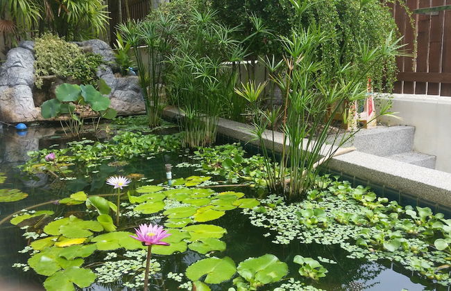 Viewpoint Villa - Photo 38