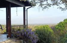 La Ginestra - Foto 1