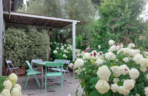 Orto delle Fate - Foto 9