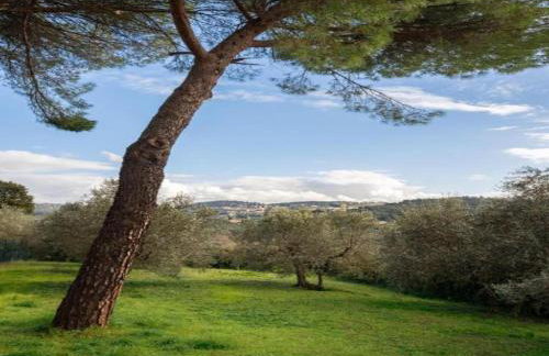 Charming Retreat in Montorsoli - Photo 65