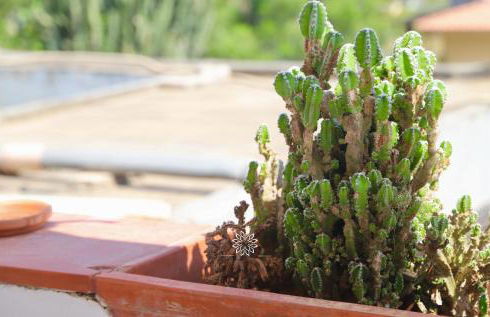 Casa Lucia - Foto 42