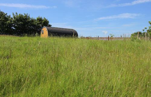 Cherry Pod - Foto 24