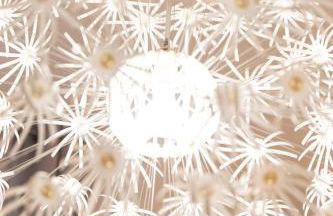 MONT CERVIN Standing & Central - Foto 18