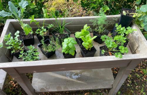 Comfort Nest - Foto 36