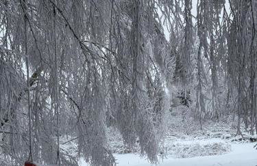 Sowi Sierp Domek w Górach Sowich - Foto 50