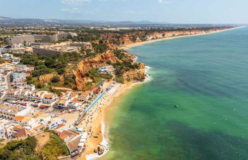 T2 Eucalipto 2A by Algarneto - Foto 27