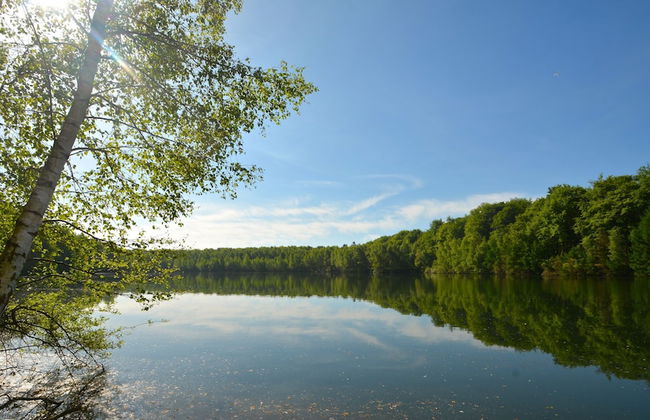 Treeloft Adventure in Nature for 4 People 17 - Photo 26