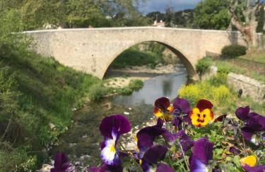 La Calade 1 bedroom Studio - Biot Village - Foto 38