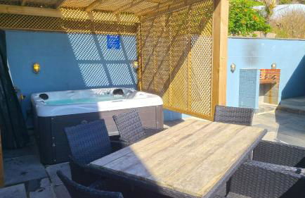 Turnstone - Photo 13