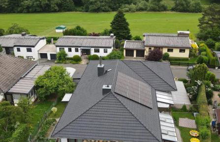 Bei den Taunusbäumen - Foto 6