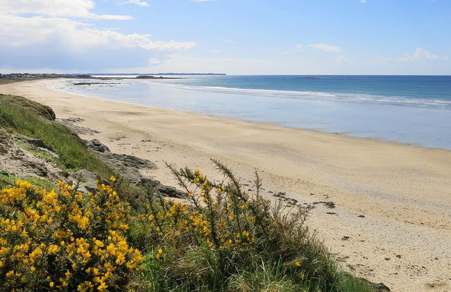 Ty Marieflo - Foto 22