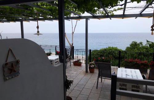 Ammos papanero - Foto 77