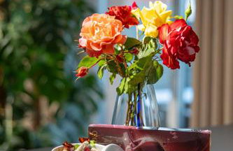 Premium Apartment Eleven - Foto 6