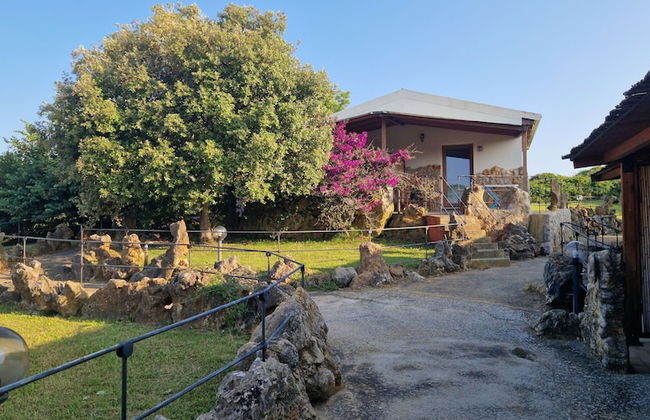 Tenute Delogu - Foto 21