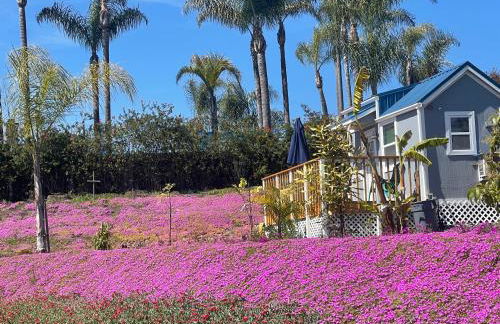 Tiny House on private large property - Foto 1