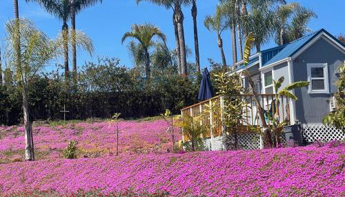 Tiny House on private large property - Photo 1