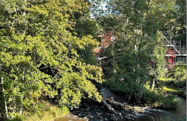 Forest house - Foto 32