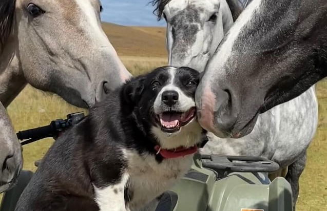 Estancia Monte Dinero - Photo 43