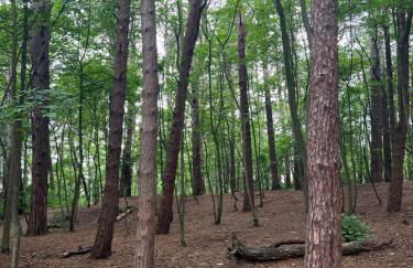 The Hideaway - Foto 25