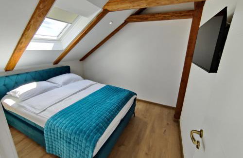 Kuća za odmor Villa Cesarica - Zagreb - Foto 52