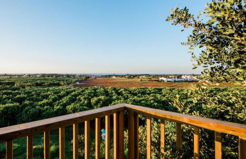 Conversas de Alpendre - Foto 14