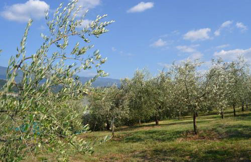 Agriturismo La Querce - Foto 57