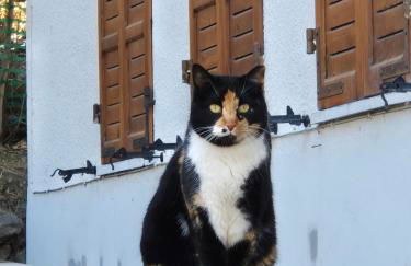 Maison MayRose CIR 42 - Foto 1