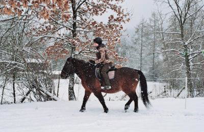 Gospodarstwo agroturystyczne Ryznerówka - Foto 24