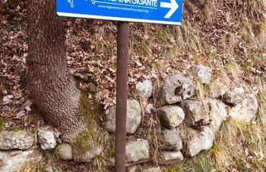 Alice’s House - Foto 38