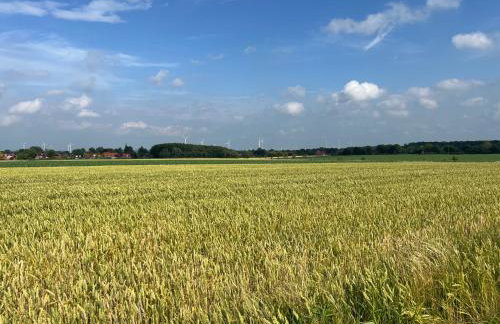 Wohnen auf dem Ponyhof - Photo 22