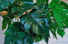 Parque do Cais - Flats Premium no Recife por Yolo - Foto 78