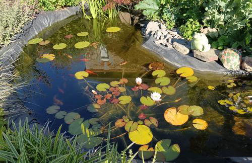 La Petite Ecole de la Baie - Foto 48