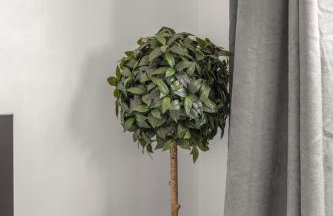 Bright & Modern London Apartment - Foto 11